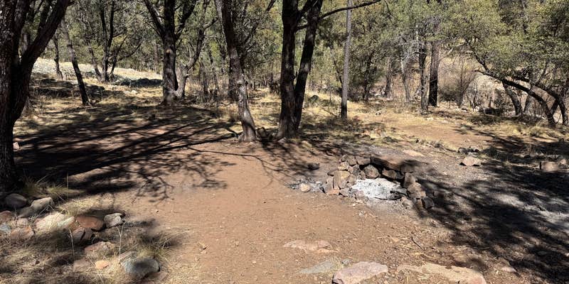 Camper submitted image from Sycamore Campground