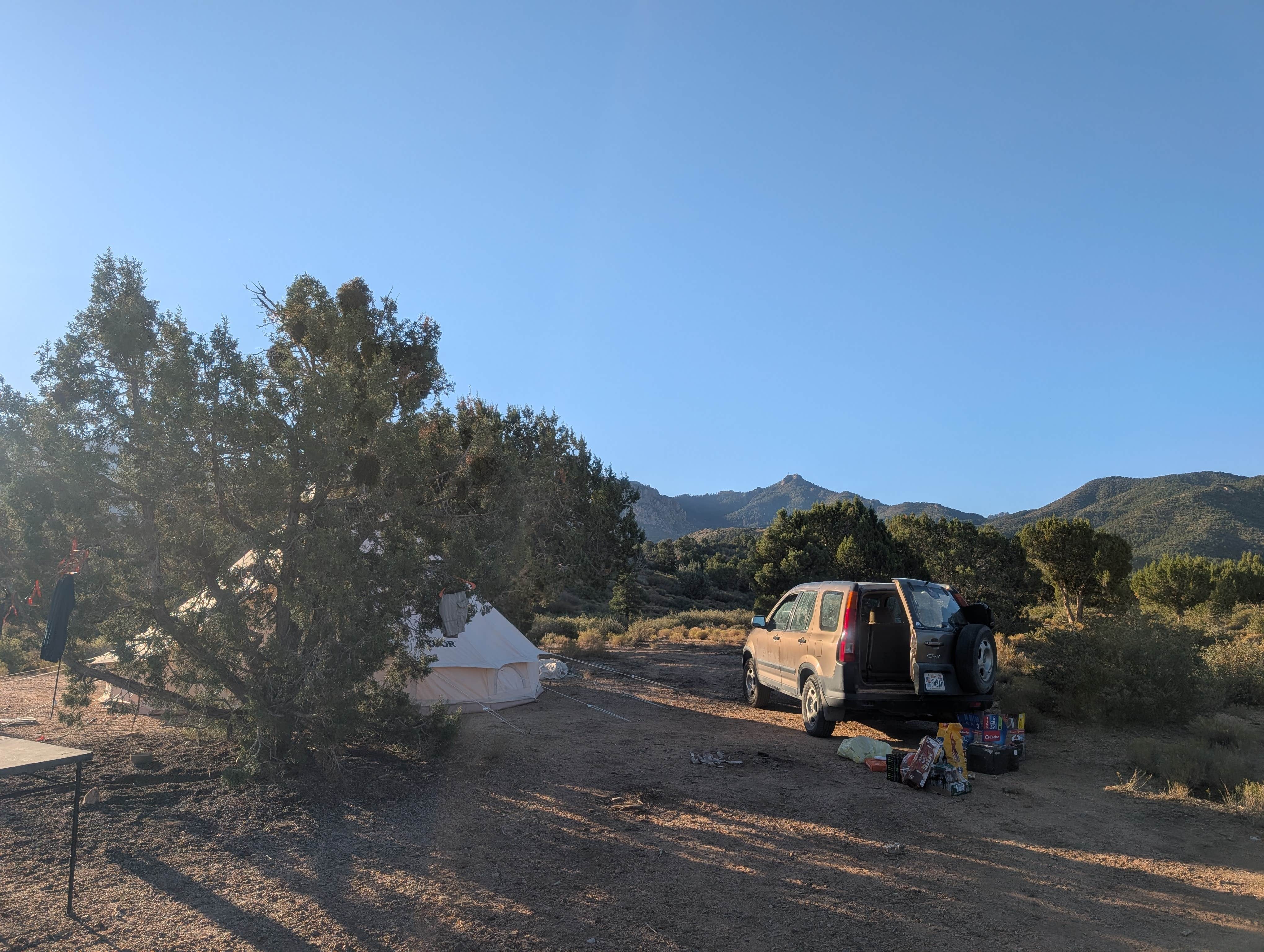 Sherry M.'s photo of a dispersed camping area at Arizona Trust Land near Kingman, AZ