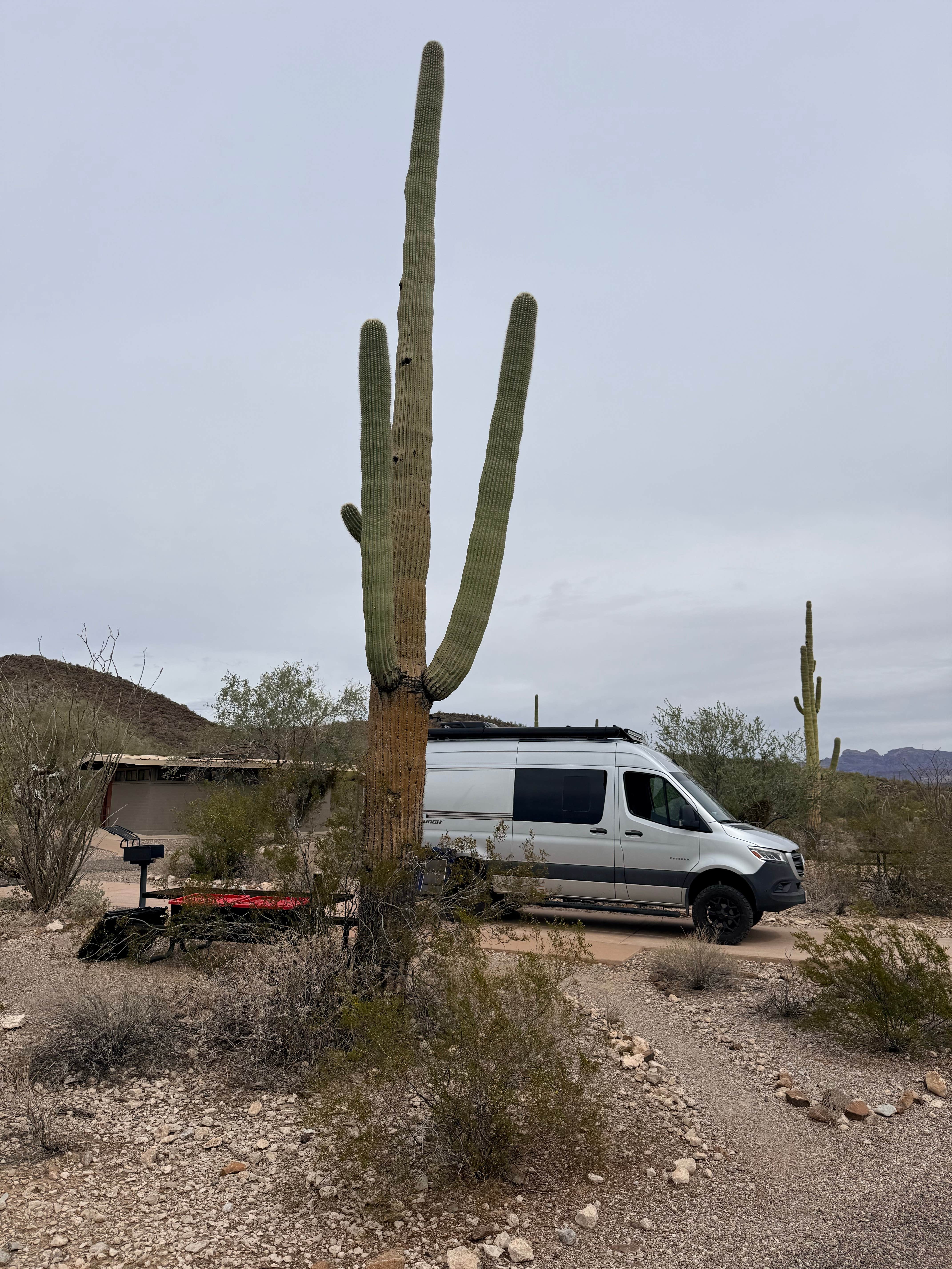 Rob S.'s photo of rv camping at Twin Peaks Campground — Organ Pipe Cactus National Monument near Ajo, AZ