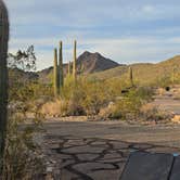 Review photo of Twin Peaks Campground — Organ Pipe Cactus National Monument by Allison D., December 27, 2025