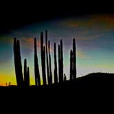 Review photo of Twin Peaks Campground — Organ Pipe Cactus National Monument by Don R., September 27, 2026