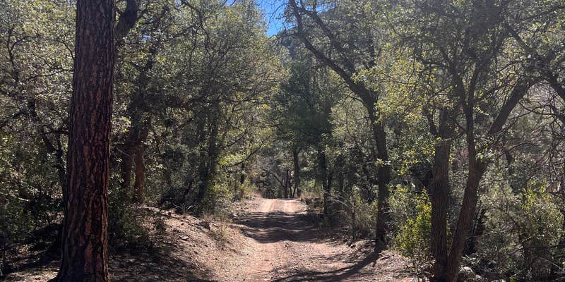 Camper submitted image from Upper Juan Miller