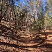 Review photo of Upper Juan Miller by anna A., March 4, 2026