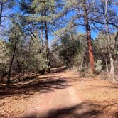 Review photo of Upper Juan Miller by anna A., March 4, 2026