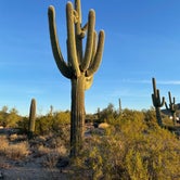 Review photo of Usery Mountain Regional Park by Jessie K., December 6, 2023