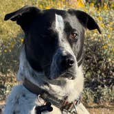 Review photo of Usery Mountain Regional Park by David N., February 4, 2026
