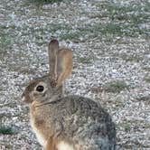 Review photo of Usery Mountain Regional Park by David N., February 4, 2026