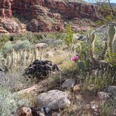 Review photo of Virgin River Gorge (BLM) by mary K., April 13, 2024