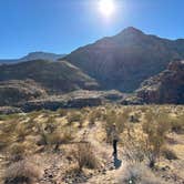 Review photo of Virgin River Gorge (BLM) by Yotam K., October 21, 2024