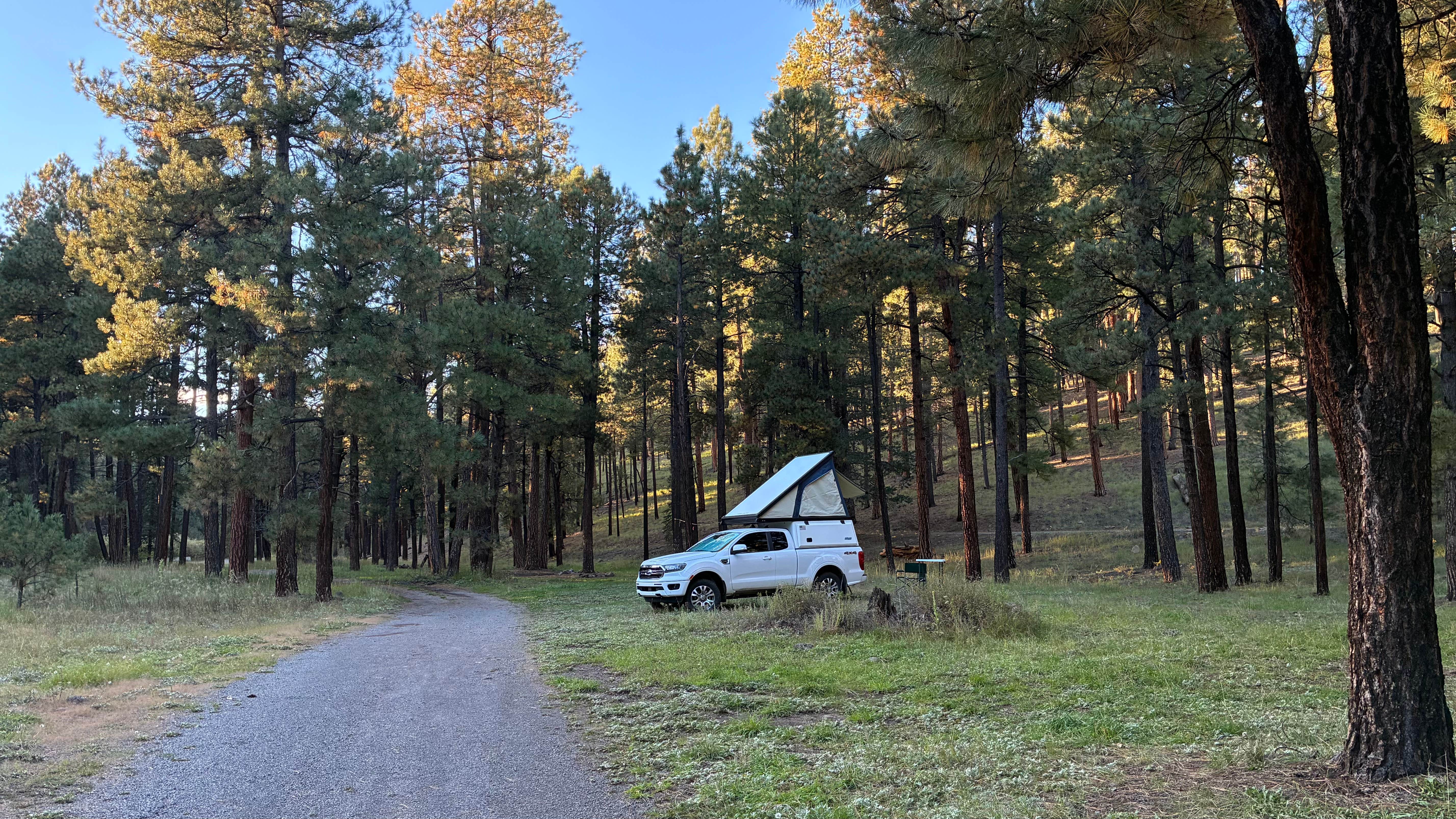 Camping near White Crossing Camping along the Black River: West Fork, Greer, Arizona