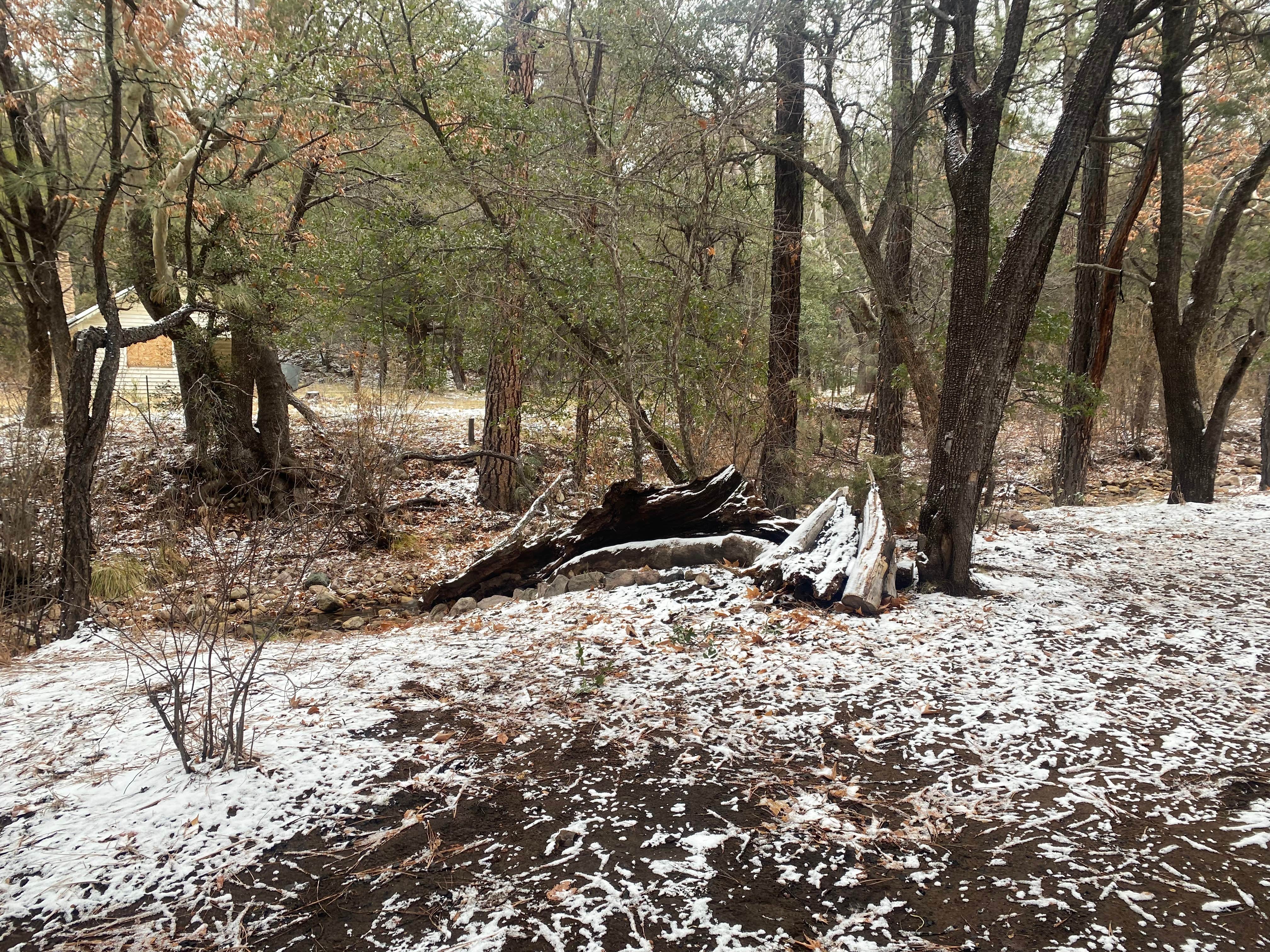 West Turkey Creek Dispersed