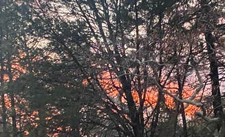 Tracy T.'s photo of a dispersed camping area at West Turkey Creek Dispersed near Bisbee, AZ