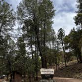 Review photo of West Turkey Creek Dispersed by Brandi S., July 11, 2026
