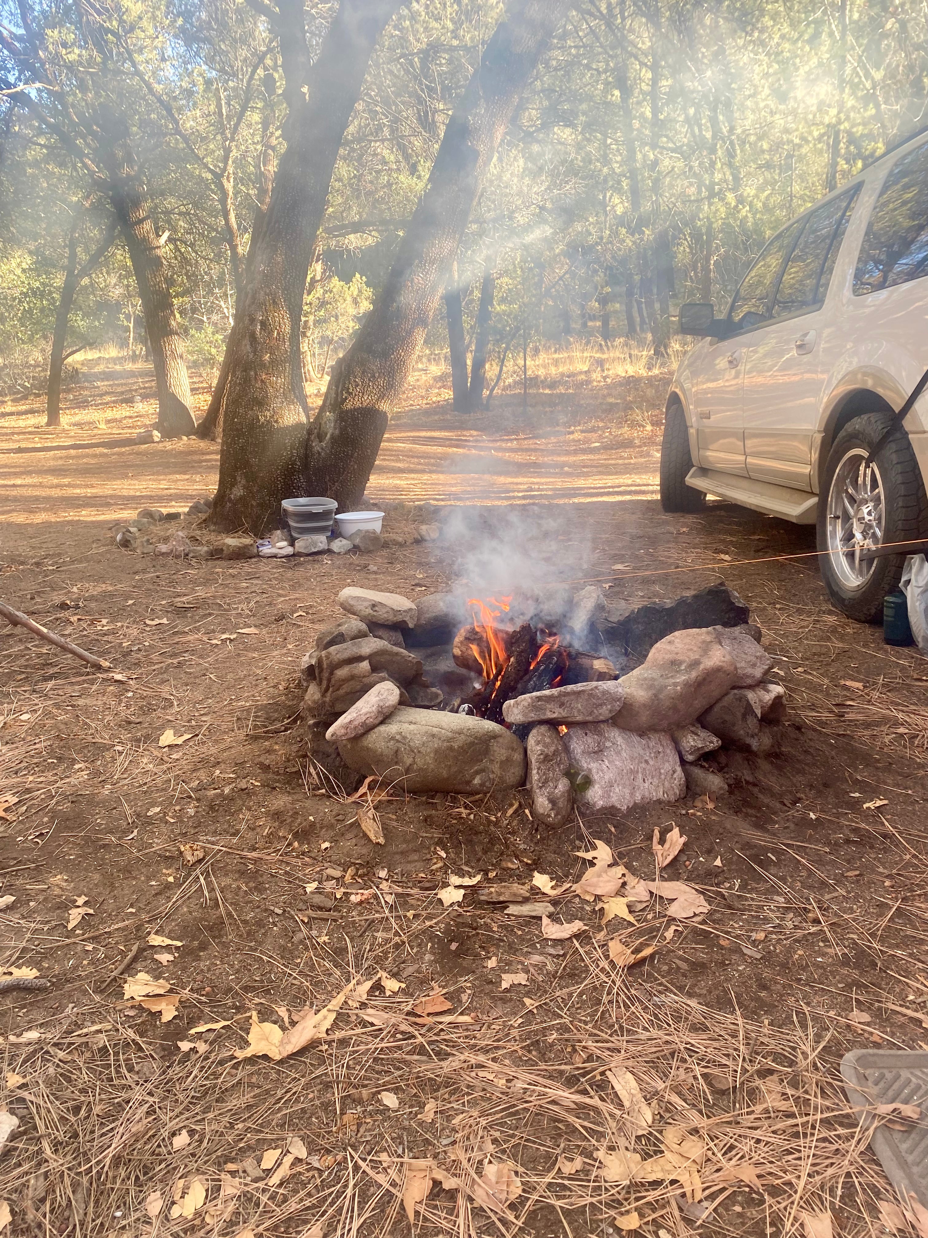 Camper submitted image from West Turkey Creek Dispersed - 1
