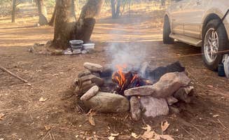 Tracy T.'s photo at West Turkey Creek Dispersed near Animas, NM