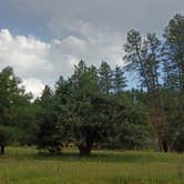 Review photo of White Spar Campground by Michelle J., August 26, 2026