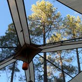 Review photo of White Spar Campground by Kitten G., June 20, 2025
