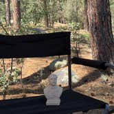 Review photo of White Spar Campground by Kitten G., June 20, 2025