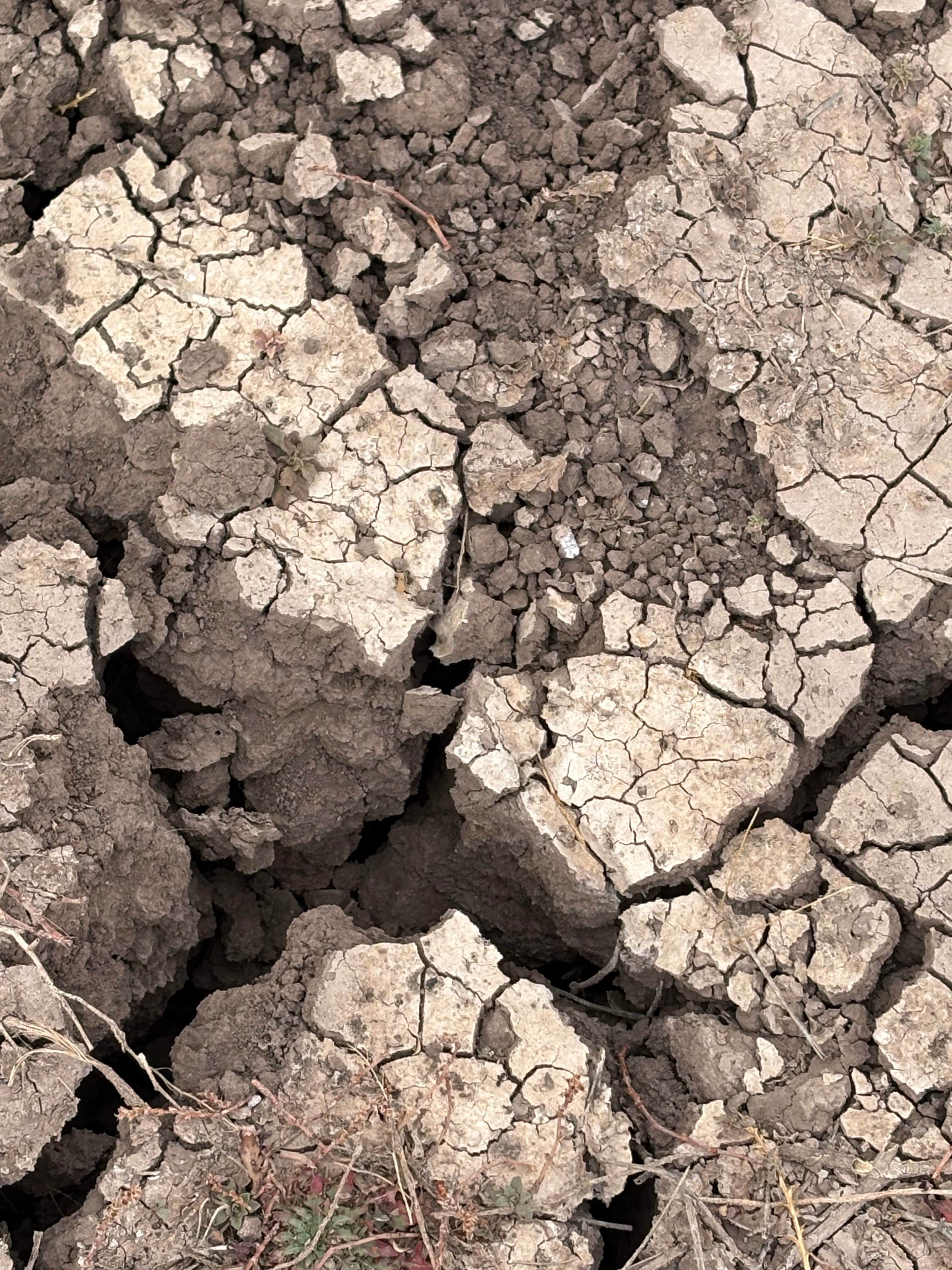 Camping near Bisbee RV Park: Whitewater Draw Wildlife Area, Elfrida, Arizona