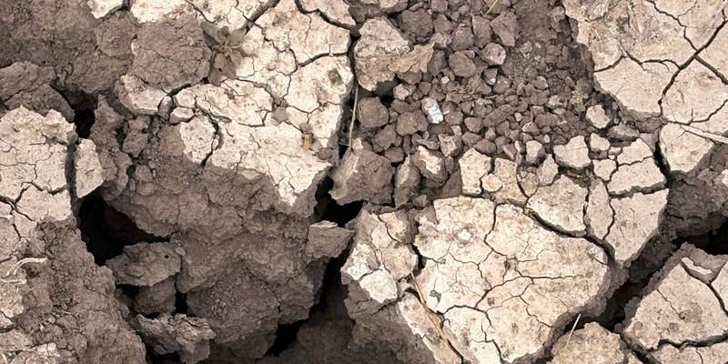 Camper submitted image from Whitewater Draw Wildlife Area