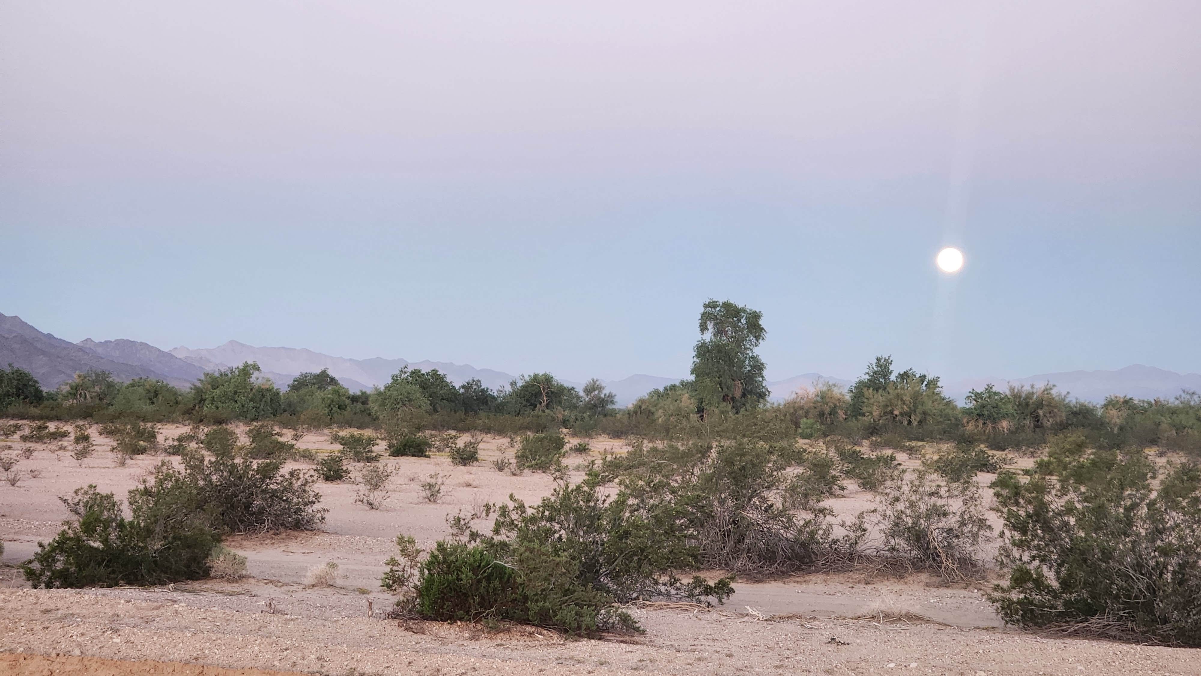 Camper-submitted photo at Wiley Wells Dispersed - Mule Mountain near Blythe, CA