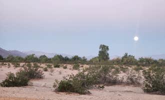 Camping near BLM Oxbow Campground: Wiley Wells Dispersed  - Mule Mountain, Palo Verde, Arizona
