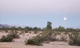 Camping near Pete's Wash: Wiley Wells Dispersed  - Mule Mountain, Palo Verde, Arizona