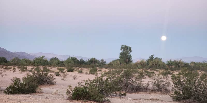Camper submitted image from Wiley Wells Dispersed - Mule Mountain
