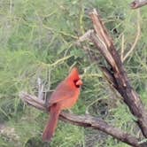 Review photo of Windy Hill Campground by DJ Jazzy W., November 13, 2025