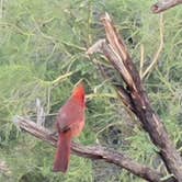 Review photo of Windy Hill Campground by DJ Jazzy W., November 13, 2025