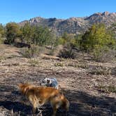 Review photo of Yavapai Campground by Douglas  S., April 16, 2025