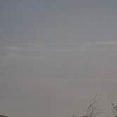 Review photo of Yuma VFW by Jill K., December 15, 2025