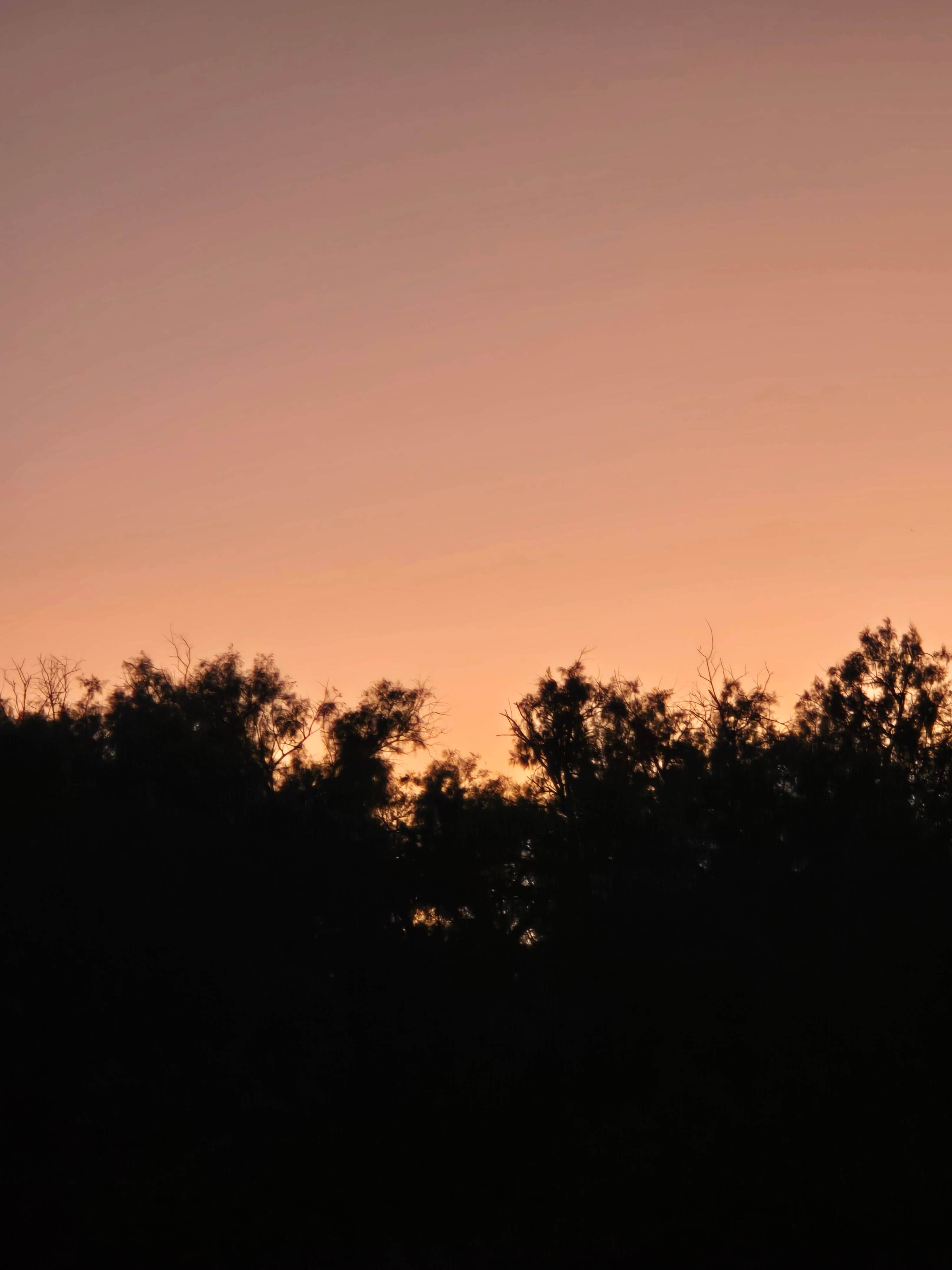 Jill K.'s photo of a dispersed camping area at Yuma VFW near Yuma, AZ