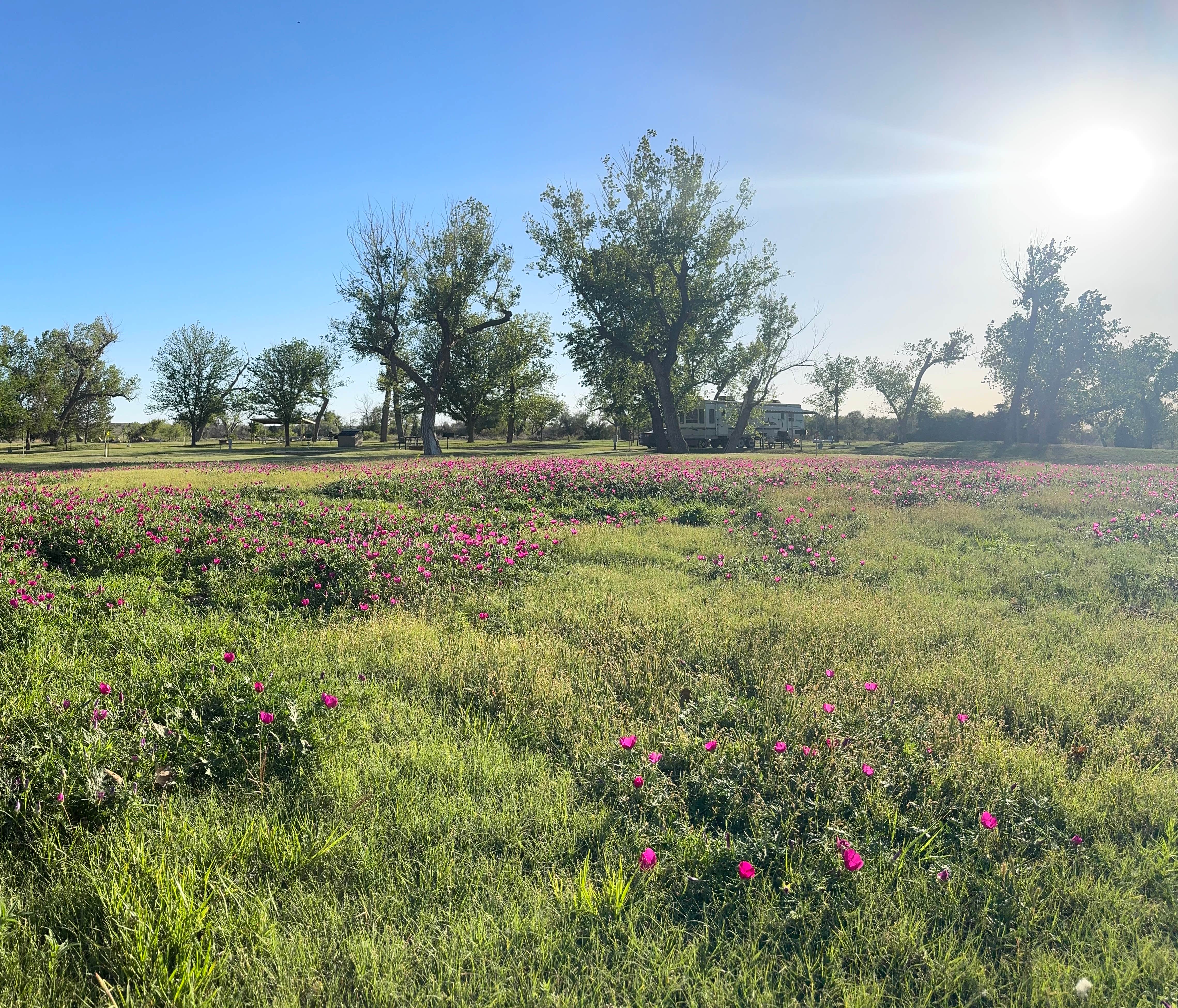 Camper-submitted photo at Arkalon Park near Ulysses, KS