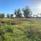 Review photo of Arkalon Park by Alex Sandra A., May 31, 2026