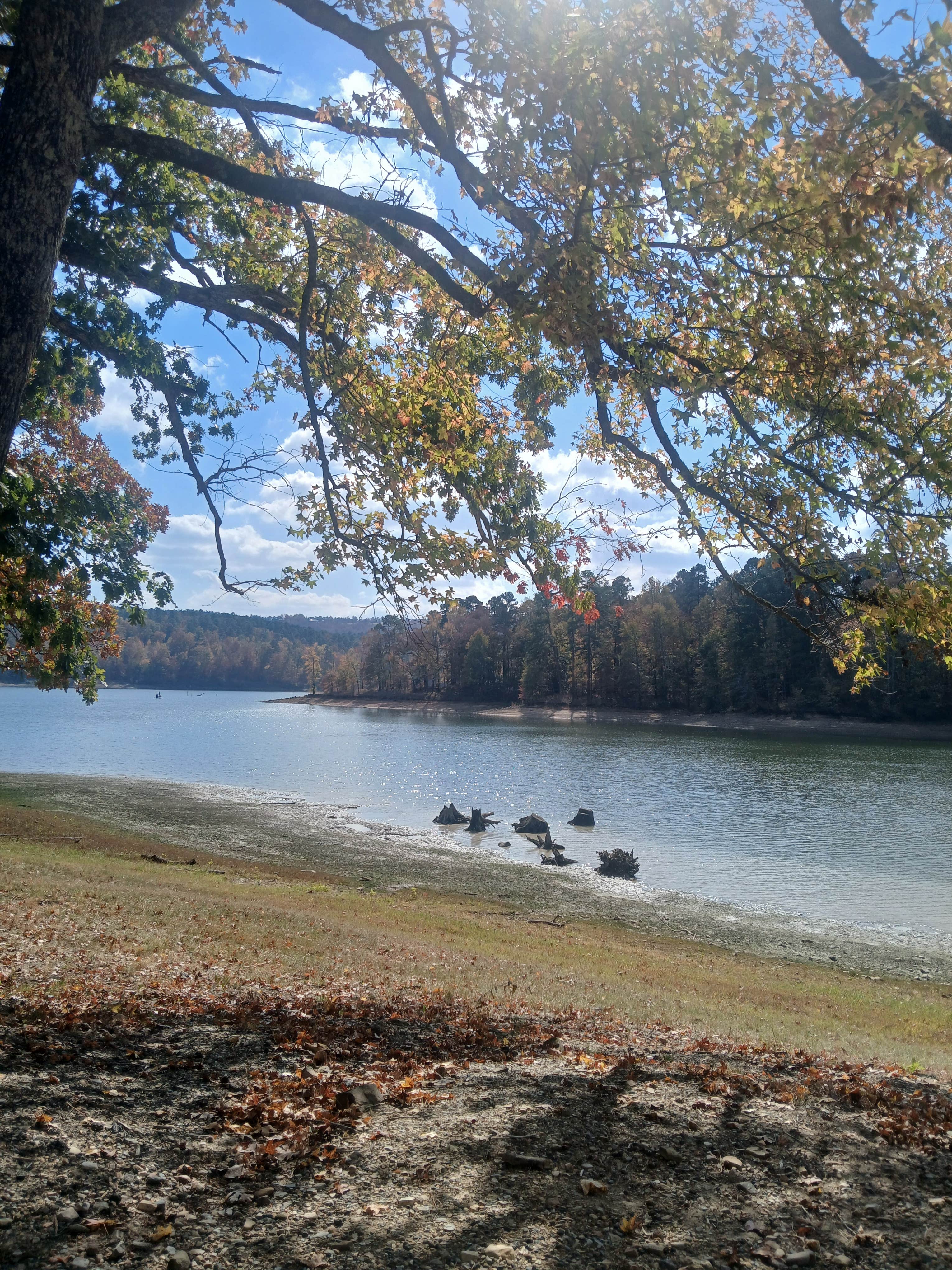 Camper-submitted photo at Bear Creek near Murfreesboro, AR