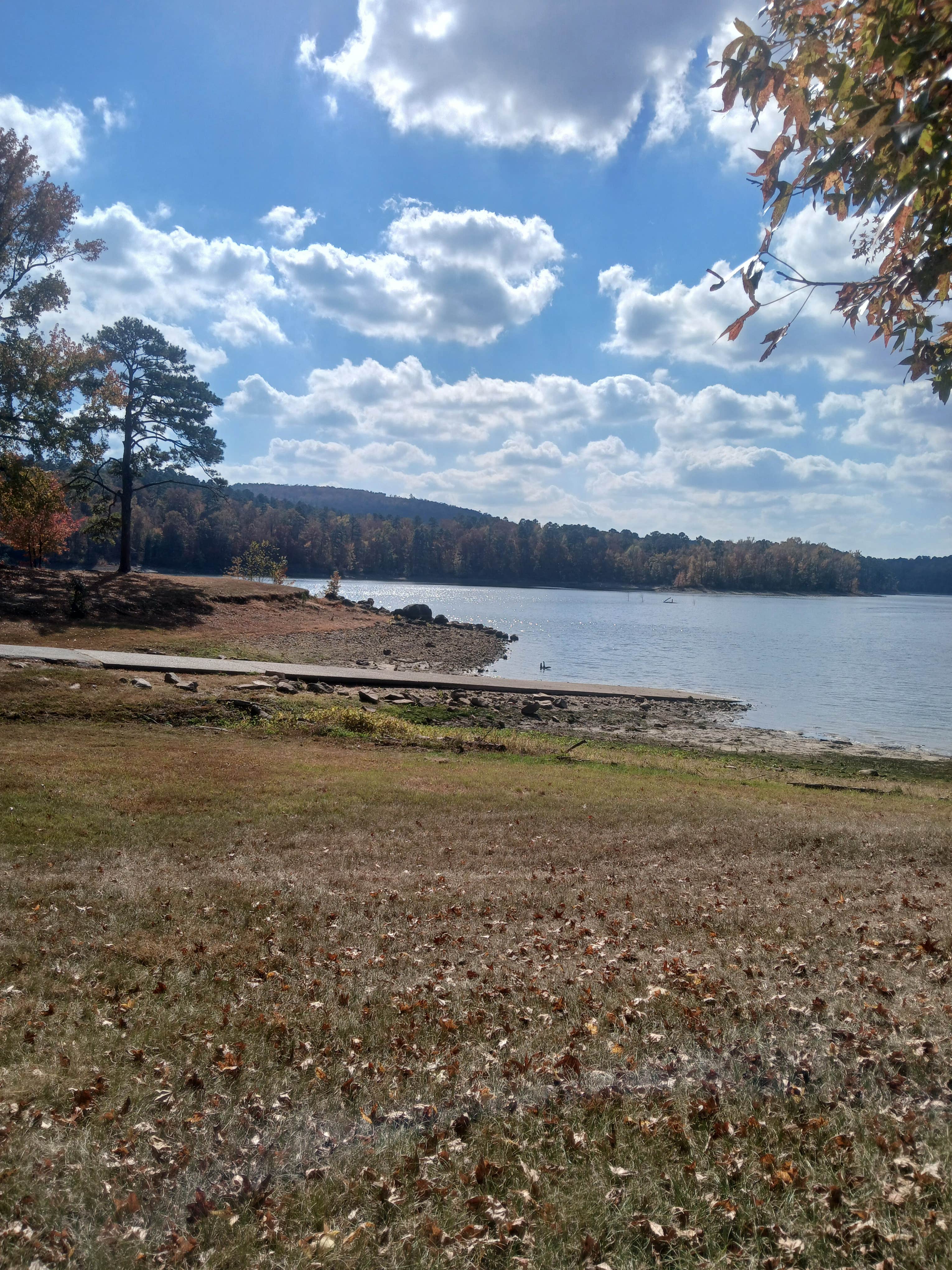 Camper-submitted photo at Bear Creek near Murfreesboro, AR