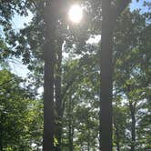 Review photo of Big Fir Primitive Camping by Shirlee A., May 15, 2025