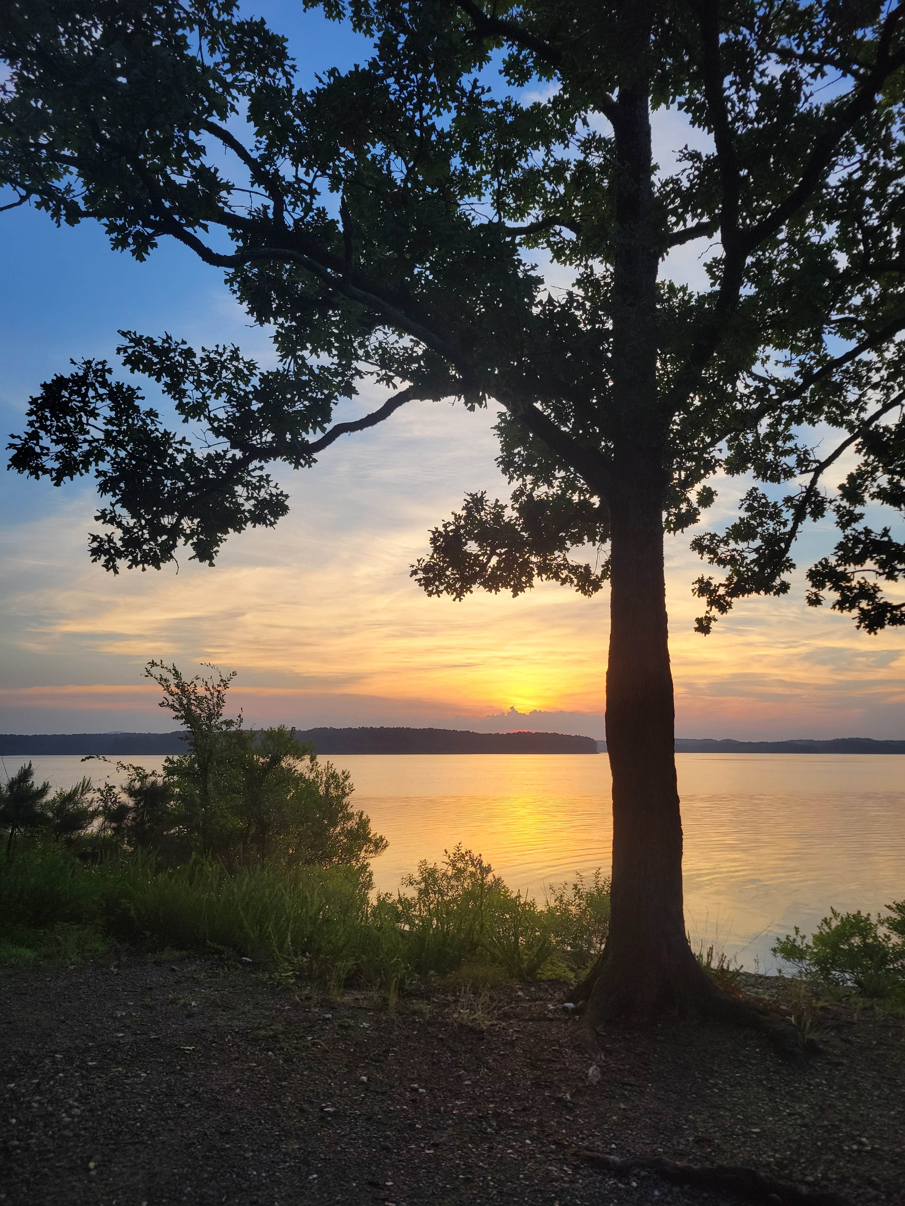 Camper-submitted photo at Big Fir Primitive Camping near DeGray Lake
