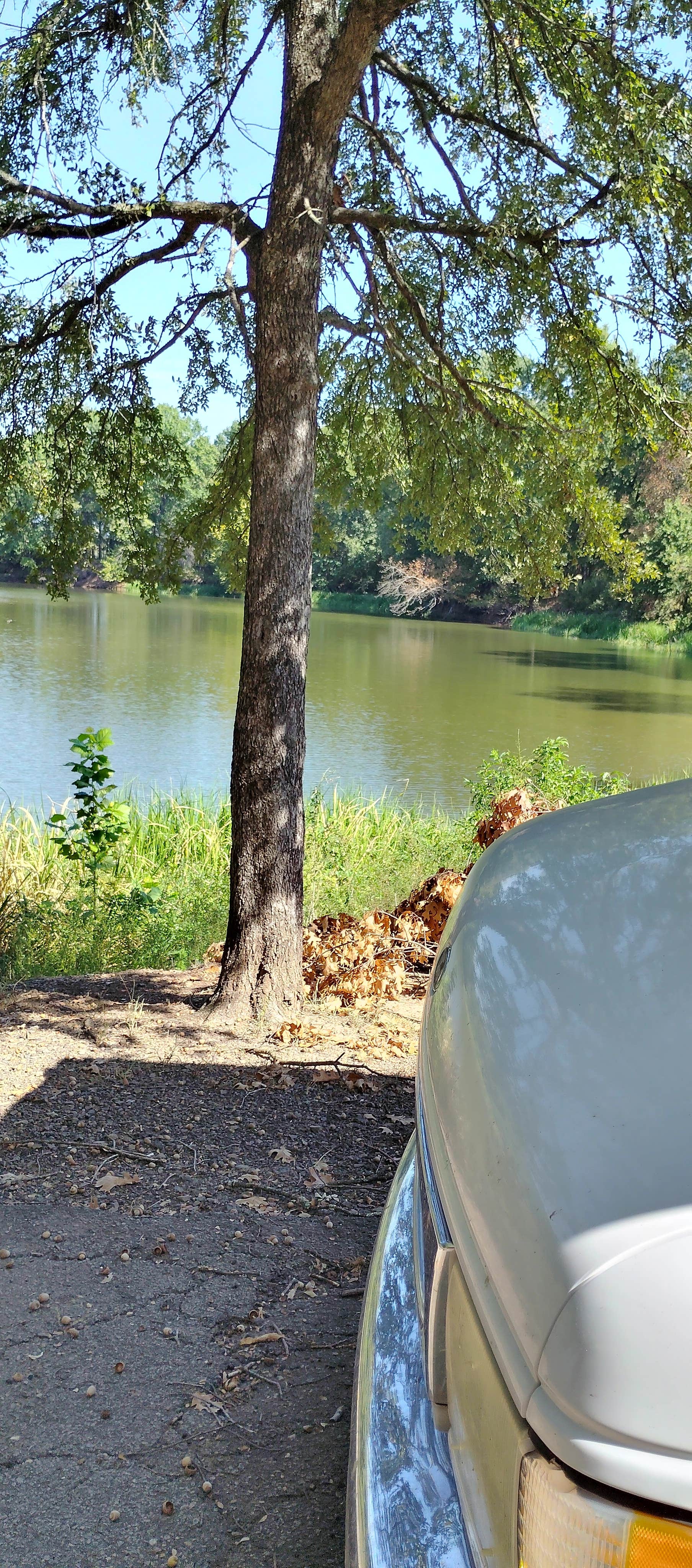 Camper-submitted photo at Cane Creek near Clarksville, AR