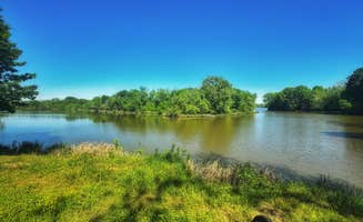Sadie P.'s photo of camping with pets at Cane Creek near Ozark, AR