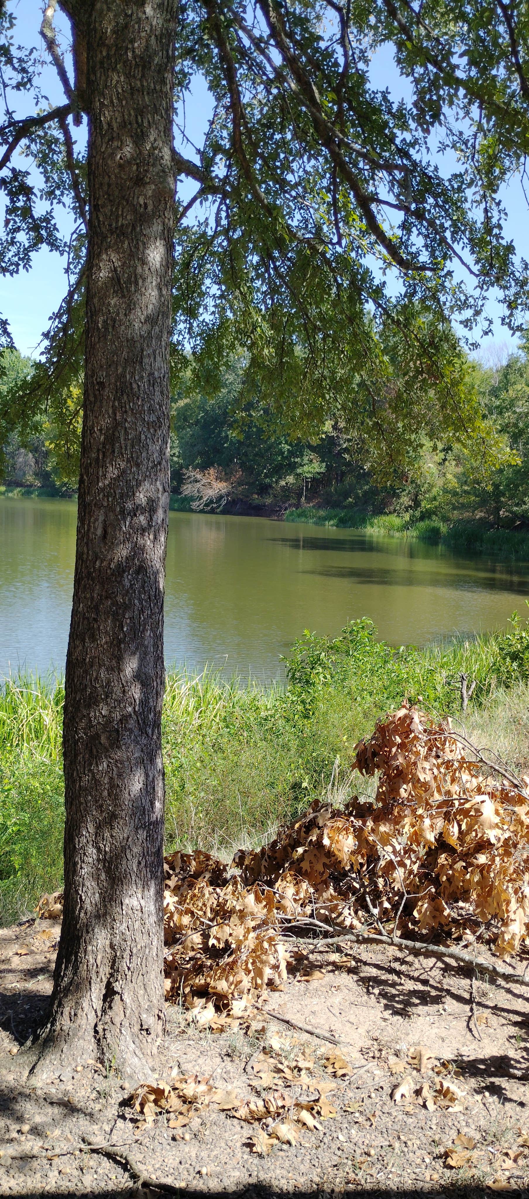 Camper-submitted photo at Cane Creek near Clarksville, AR