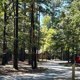 Review photo of Cane Creek State Park Campground by Brian G., September 17, 2023