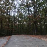 Review photo of Craighead Forest Park by Twyana S., October 30, 2024