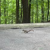 Review photo of Crater of Diamonds State Park Campground by Brian K., May 18, 2026