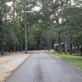 Review photo of Crowley's Ridge State Park Campground by Amy H., June 20, 2024