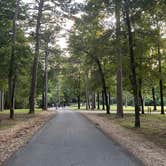 Review photo of Crowley's Ridge State Park Campground by Amy H., June 20, 2024