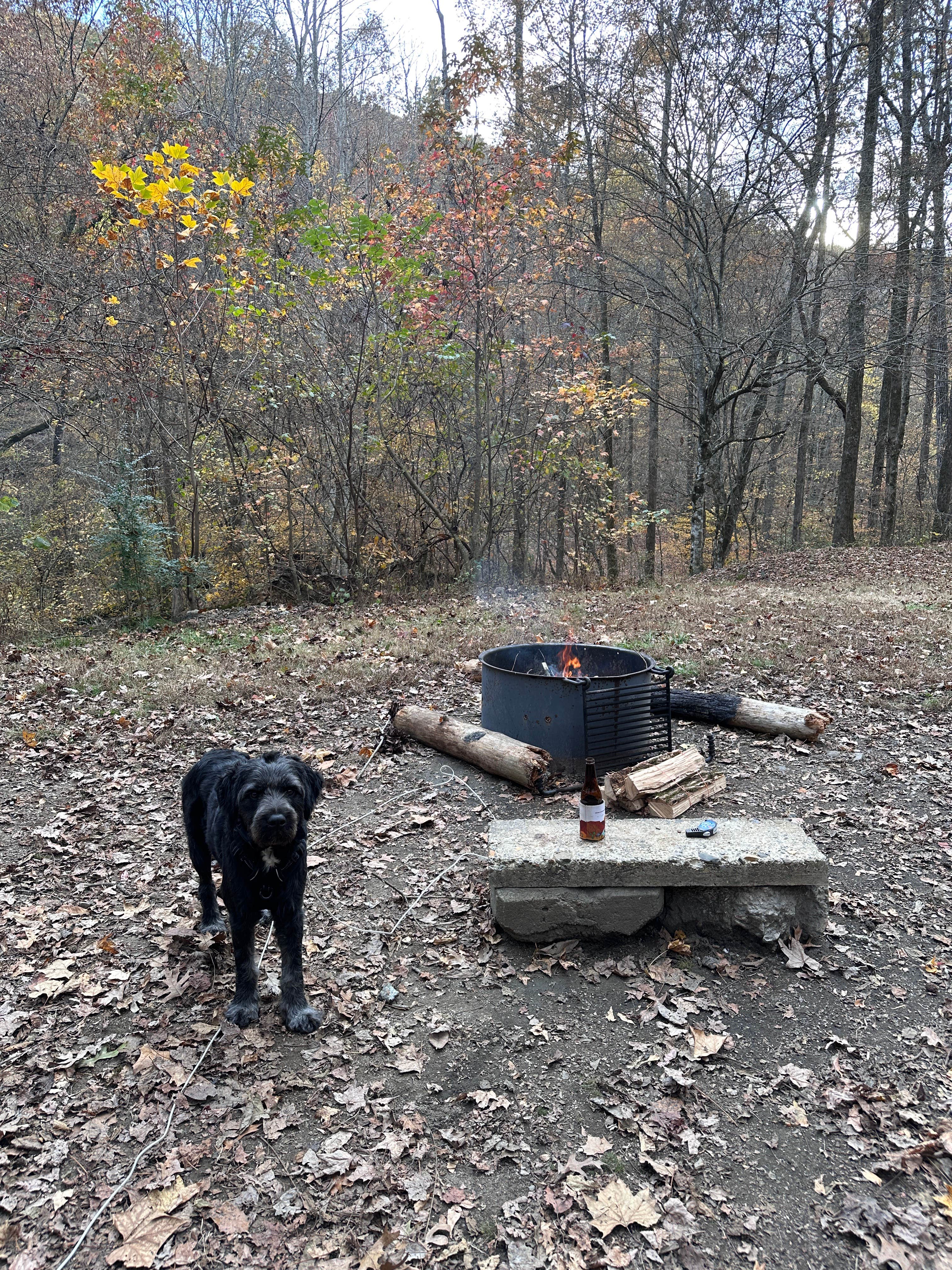 Tam E.'s photo of camping with pets at Crystal Campground near Nashville, AR