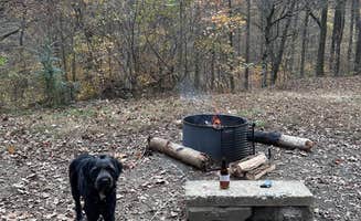 Tam E.'s photo of camping with pets at Crystal Campground near Murfreesboro, AR
