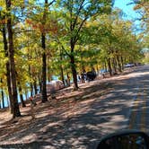 Review photo of Daisy State Park Campground by Alice S., October 19, 2024